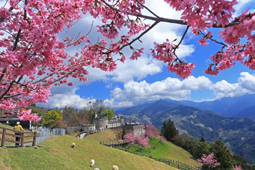 Cingjing Farm