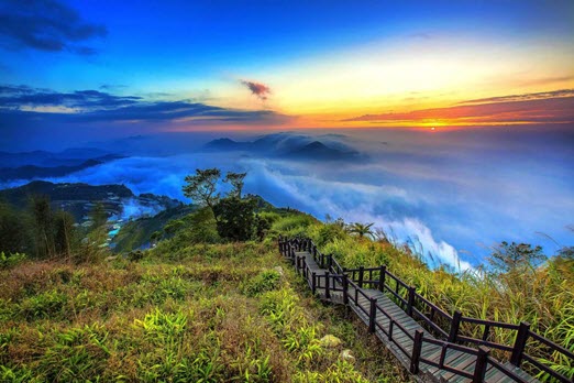 Alishan Eryanping Walking Trail