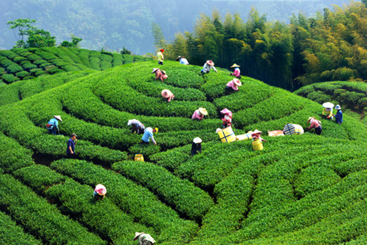 Taiwan Tours-6D5N Changhua-Nantou Off Beaten Tracks