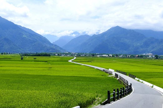 Mr Brown Ave Taitung