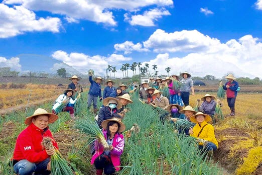 Spring Onion Farm