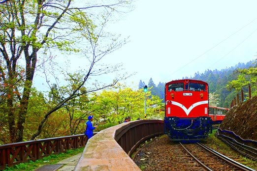 Private Taiwan Train Tours by Taiwan Free and Easy Travel