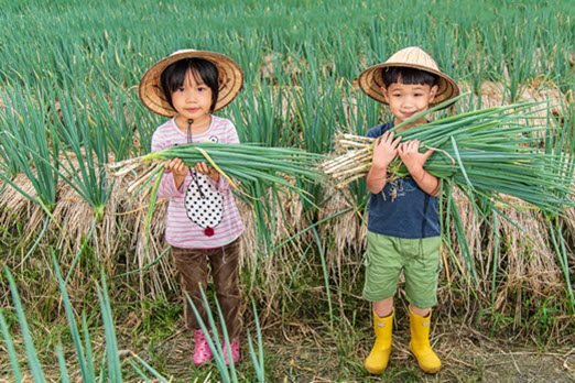 Taiwan Private Tours