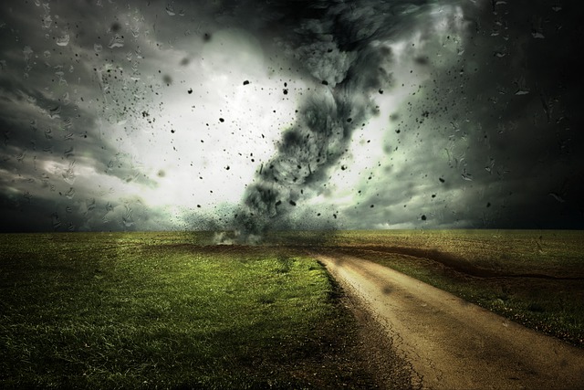 typhoon-warning