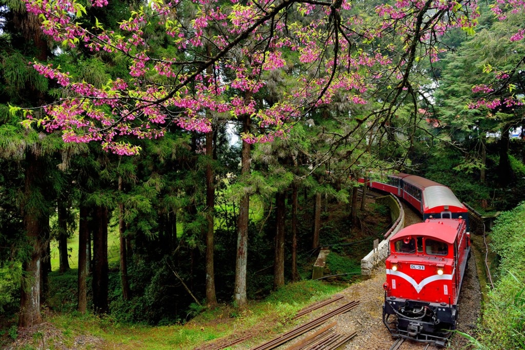 Alishan Forest Train