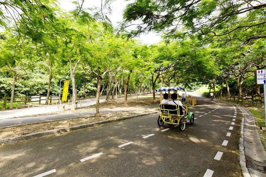 Countryside Cycling