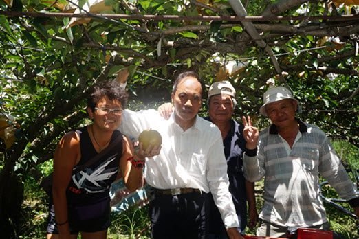 Learning All About Pears