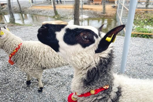 Taiwan-Kids-Friendly